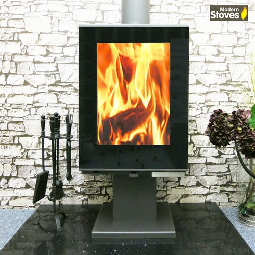 Wood burning multi - burning, stove